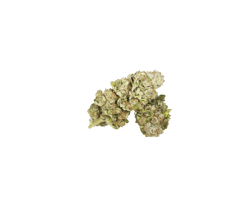 Gorilla Glue - CBD Flower