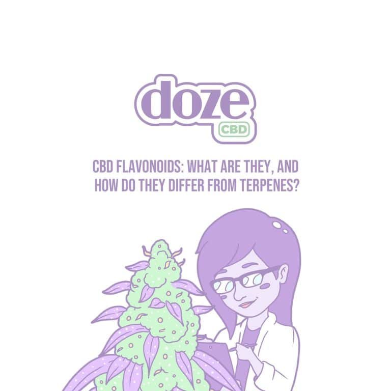 Read more about the article CBD Flavonoids: What Are They and How Do They Differ From Terpenes?