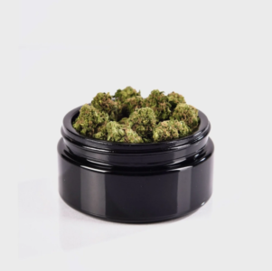 Amnesia Haze 22% Cali CBD