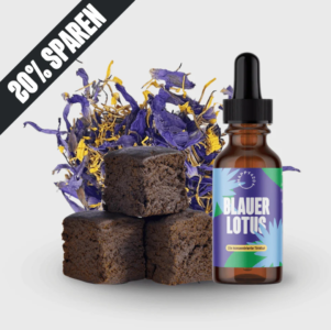 Blauer Lotus Bundle 🪷