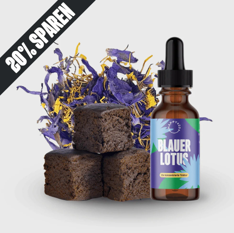 Blauer Lotus Bundle 🪷