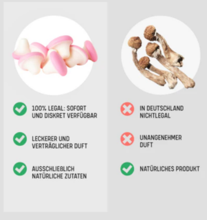 🍄 4-Pro-Met Mushroom Gummis