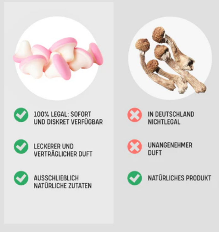 🍄 4-Pro-Met Mushroom Gummis 1